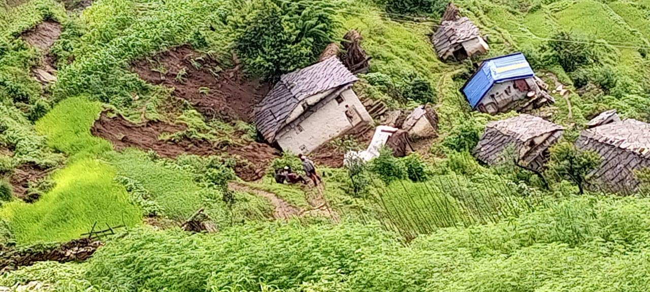 gaumul_pahiro.jpg