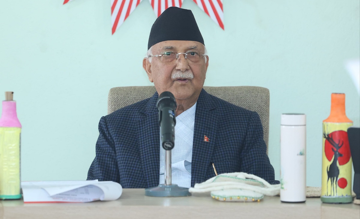 kp-oli-4.jpg