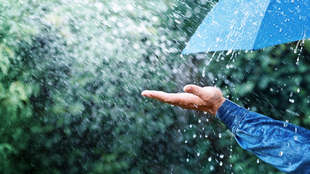 Rain.jpeg